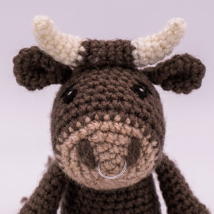 Stier Stan